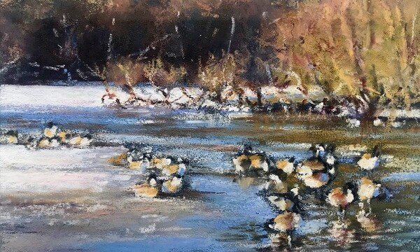13 Geese at Wyndley Pool, Deborah Hodgson Oil Pastel 28x 28cm £60, Award for the Best Landscape -Highly Commended