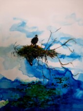 Nest in the Sky water colour - Chris Bowden