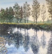 Tree Reflections, Geoff Stubbins